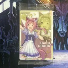 248 ウマ娘　ツインウエハース　ハルウララ　キャラクターカード　制服