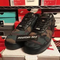 AF1 supreme north JORDAN off-white DUNK