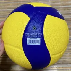 Item thumbnail for item 7d7680ab-014f-484c-a92a-5c5a4496fa4c