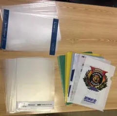 A4クリアファイルセット 30枚まとめ売り（多色・デザイン）