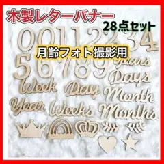 月齢フォト マンスリーカード 28枚セット ニューボーンフォト用 ウッド