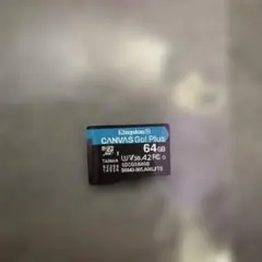 Kingston Canvas Go! Plus SDCG3/64GB