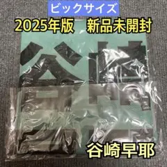 【新品未開封】　2025年版　旧モデル　≠ME ノイミー 公式ビブス　谷崎早耶 2026年最新】谷崎 ビブスの人気アイテム - メルカリ