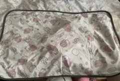 Item thumbnail for item a1c67072-d45c-425c-a3ae-e7900a4ce5cf