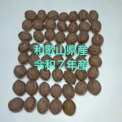 クロネコ様 リクエスト 3点 まとめ商品