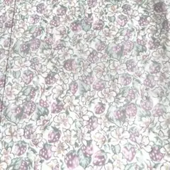 Item thumbnail for item 5d27fbdd-7903-4b5b-bf01-6c09caffd691