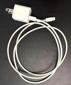 Apple純正 Lightningケーブル & USB充電器セット