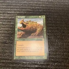 MTG 土を食うもの/Terravore [ODY版] 日本語 3枚セット - メルカリ