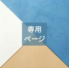 ［専用ページ］２点