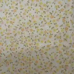 Item thumbnail for item 8e09226d-63dc-4d11-89dc-f8d507676909