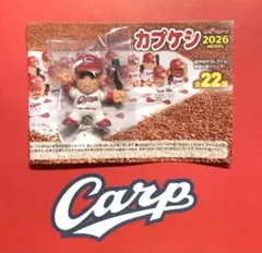 2026年最新】カプケシの人気アイテム - メルカリ