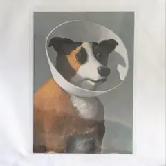 Item thumbnail for item 9dfc5a64-3cc0-4f94-a87a-ded1228c0824