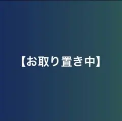 jd様 リクエスト 2点 まとめ商品