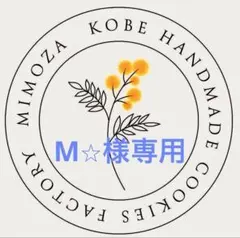 M⭐︎様専用ページでございます！