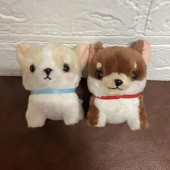 むちむチワワ おでかけシリーズ  しんぞう ちょこりん セット ☆むちむチワワでかBIGちょこりん登場☆ 新メンバー「ちょこりん」がで