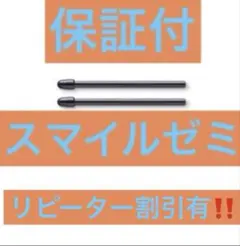 スマイルゼミ　タッチペンの替え芯　替芯２本セット　三角ペン用　保証＆特典付‼️