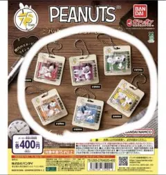 PEANUTS 75周年コンプリート パッケージミニチュアコレクションスヌーピー