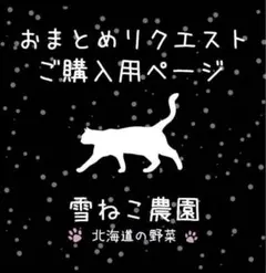 nokkiiiii様 リクエスト 3点 まとめ商品