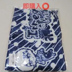 Irregular Vacation マフラータオル