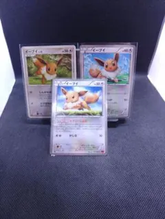 イーブイ C XY3 ライジングフィスト075/096他1ed 特別3枚セット