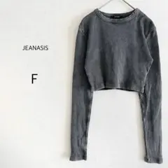 JEANASIS ジーナシス クロップドTシャツ リブ編み 長袖 グレー F