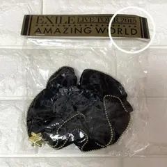 EXILE LIVE TOUR 2015 AMAZING WORLD シュシュ