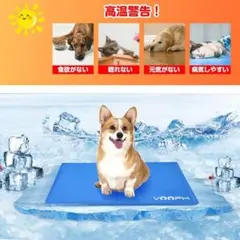 Item thumbnail for item 620cc8c7-7f1c-428f-a997-20ed638c432d