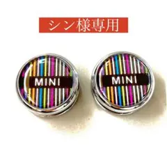 【シン様専用】