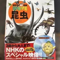 Item thumbnail for item 03a356eb-5816-4881-87cc-42ca1a8156e4