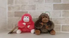 ウホウホゴリラのゴリくん一緒にうっほっほ ゴリたん　ゴリひこ　ぬいぐるみ 2種