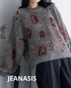 jeanasis 5Gフラワーラメフェザープルオーバー ニット グレー