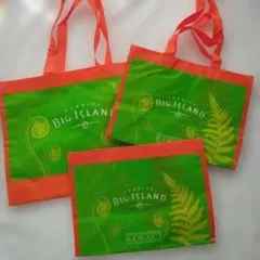 BIG ISLAND CANDIES HAWAII ショッパー 3枚セット
