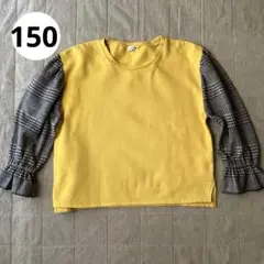 Item thumbnail for item 370305d7-2019-4e64-ba67-7623bfbc68ee