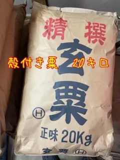 農薬不使用・天日干し】ササシグレ 玄米2kg｜ササニシキの親品種