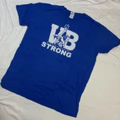 3778] USA古着 GILDAN Tシャツ 半袖 青 L アメリカ古着