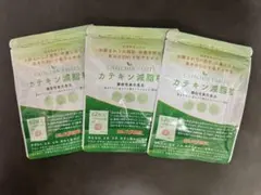 カテキン減脂粒 62粒 3袋（バラ売り可◎）のサムネイル
