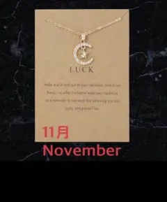 11月 誕生日 ネックレス ペンダント ♡ネックレス2つのおまけ付き♡