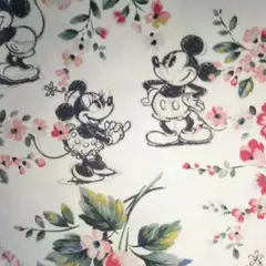 キャスキッドソン ミッキー ミニー ブーケ柄 帆布 CathKidston 生地