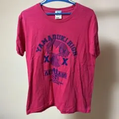 ひだまりスケッチｘハニカム ゆのカレッジTシャツ Mサイズ
