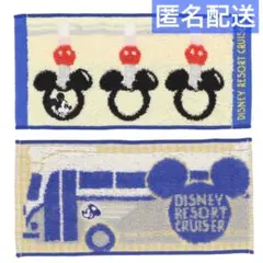 【匿名配送】ディズニーランド ディズニーリゾートクルーザー ミニタオル 新品