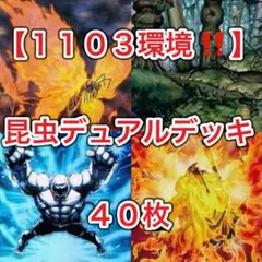 C-43 Dr.ルートデッキ 値下げ交渉大歓迎！！ - メルカリ