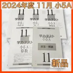 育伸社 学力テスト 2024年 11月 小5 A 4科 解答解説 国 社 算 理