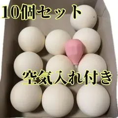 新品】ノーブランド ソフトテニスボール10個 - メルカリ