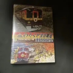 新品同様○わたらせ渓谷鐵道トロッコわっしー号運転席展望 紅葉の渡良