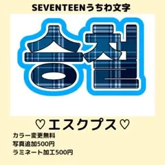 セブンティーン　エスクプス　ネームボード　うちわ文字