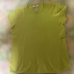 Item thumbnail for item 74072e35-da54-47a0-b97a-a24dbcd03780