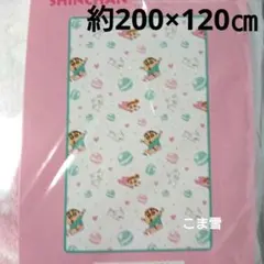 Item thumbnail for item 01b268e9-68b2-4219-8de5-d69795e69c48