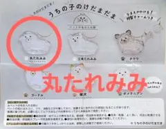 うちの子のけだまだま　丸たれみみ 　犬