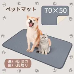 Item thumbnail for item 15407447-6df7-40d0-8260-176324132247