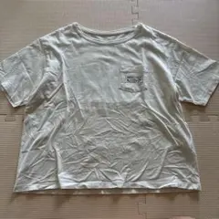 Patagonia パタゴニア ハワイ限定 短丈半袖Tシャツ 薄いベージュ M